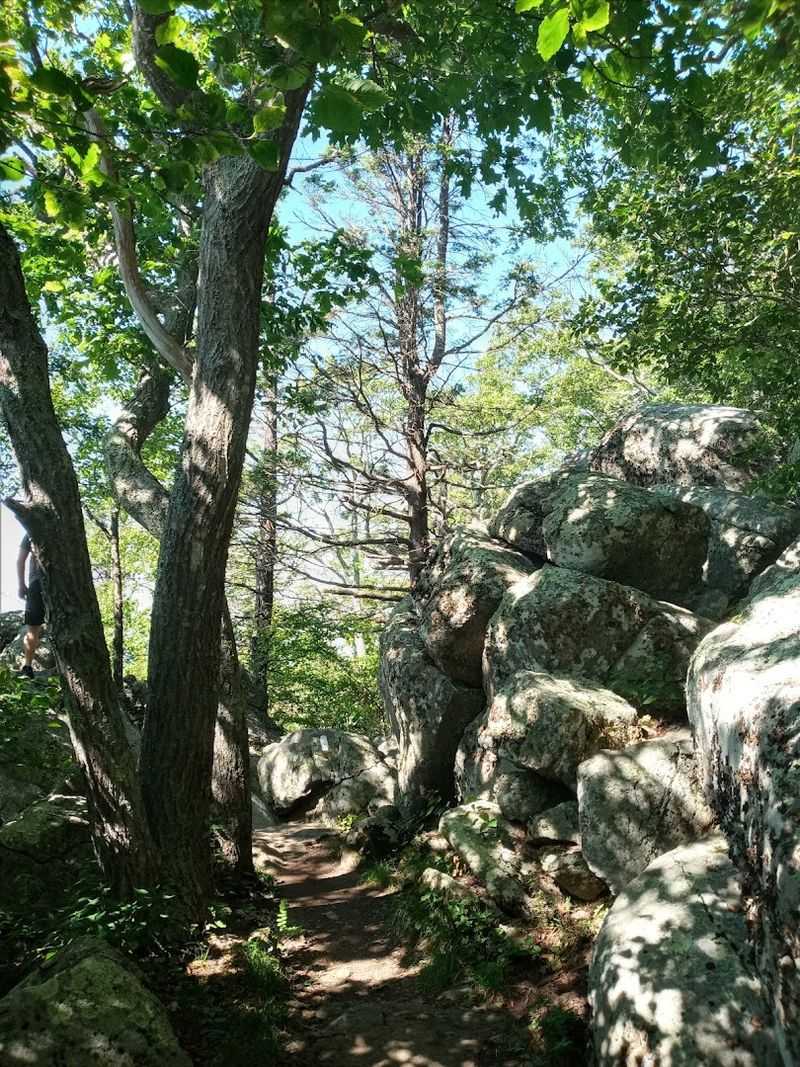 Watch the light change at Thunder Ridge Overlook