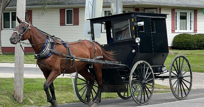 Taking a Scenic Countryside Drive