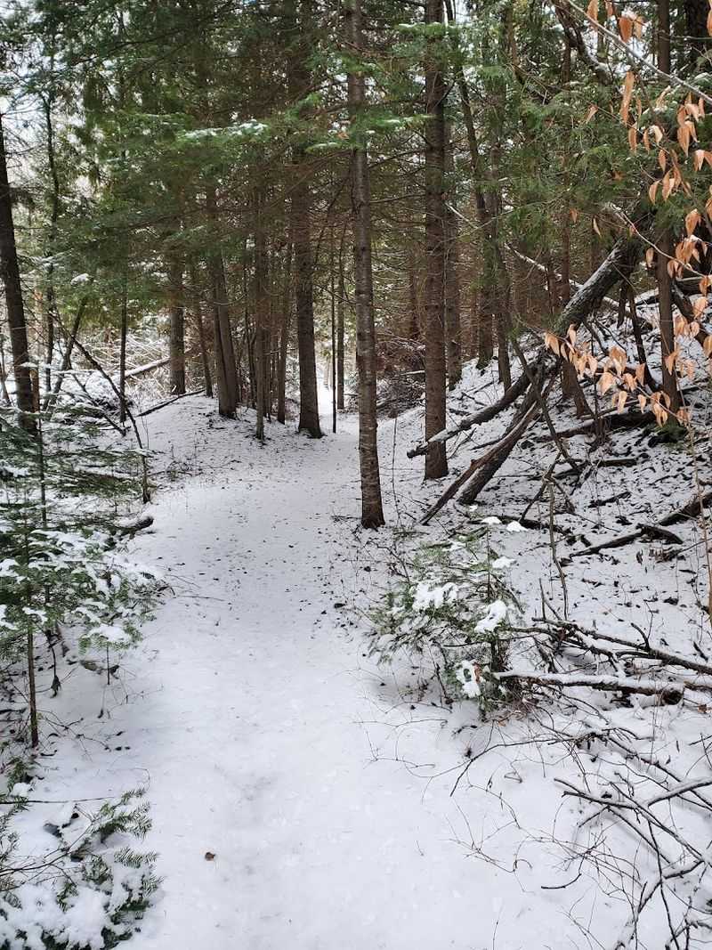 Visiting in Winter: A Snowy Hidden Gem