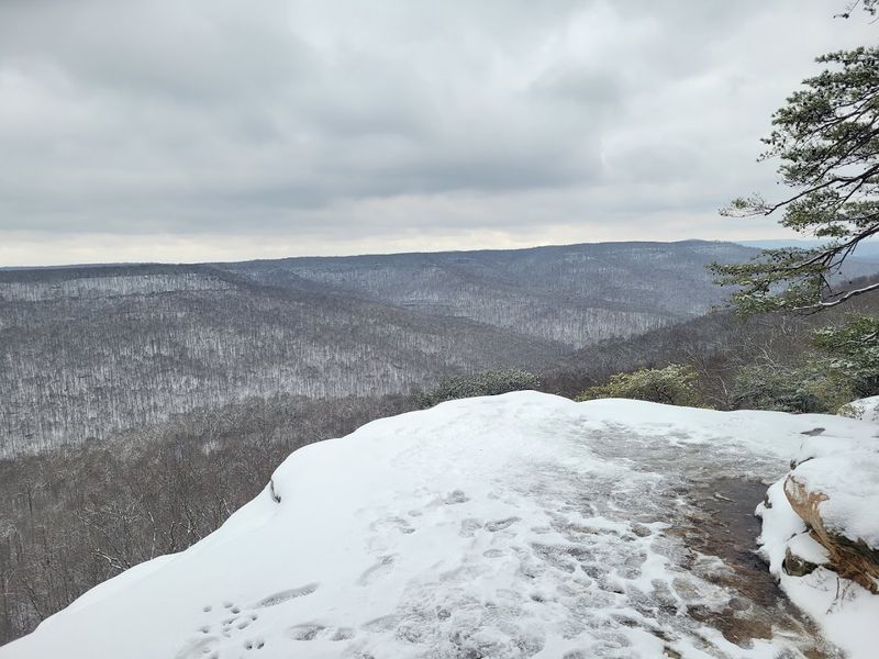 Visiting on New Year's Eve or Off-Peak Days