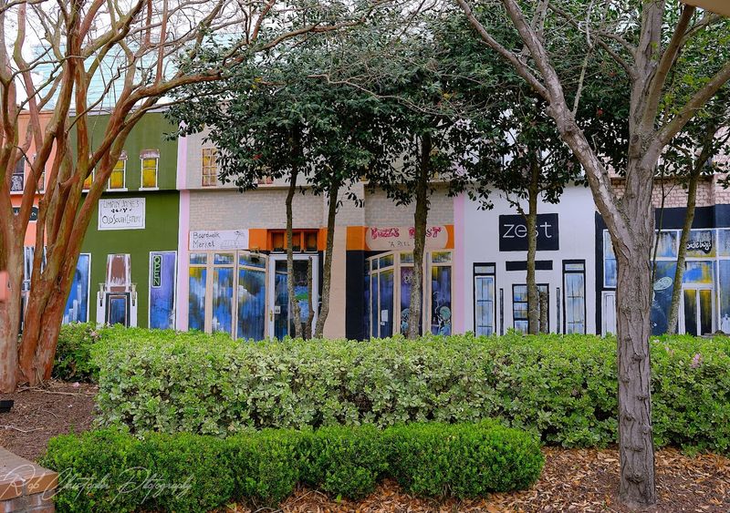 Volunteer and Part-Time Work Opportunities