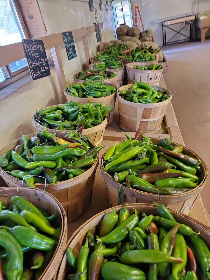 Wagner Farm Corrales - Corrales, New Mexico