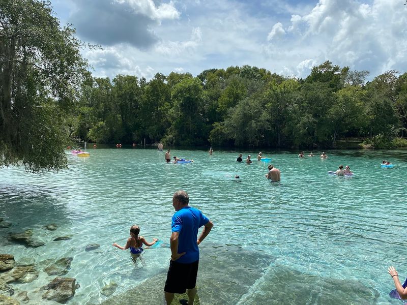 Florida’s Clearest Springs That Feel Quietly Unreal in Person 10 Silver Glen Springs - Florida