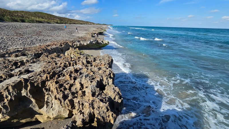 Florida Spots Locals Love That Most Visitors Overlook 15 Blowing Rocks Preserve, Hobe Sound, Florida