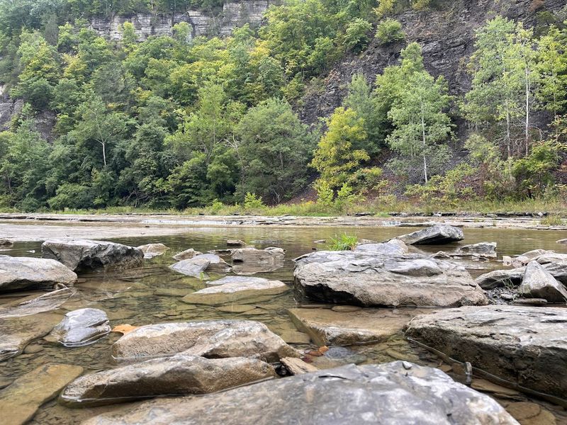 Walking the Creek Bed