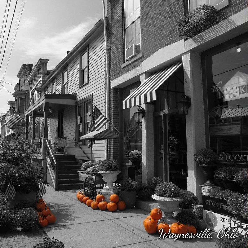 The World-Famous Sauerkraut Festival