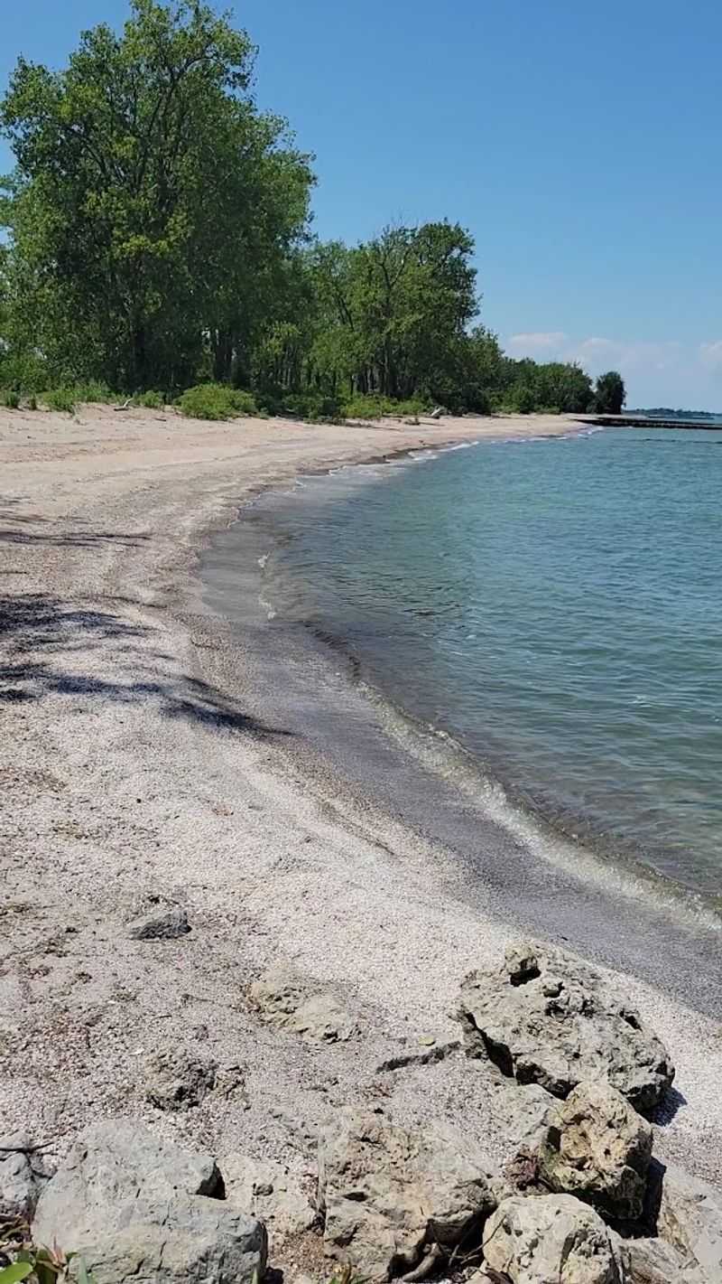 Crane Creek Wildlife Research - Oak Harbor, Ohio
