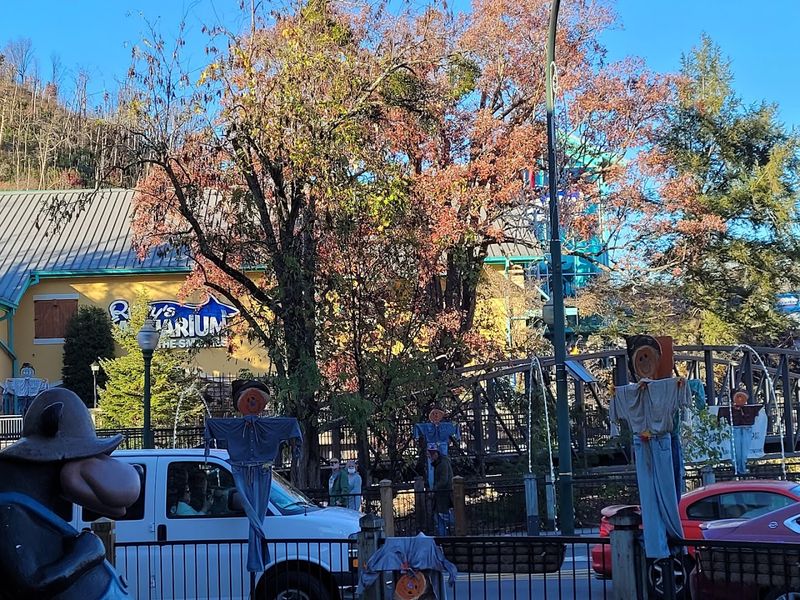 Pause for music and comfort food at the Floyd Country Store