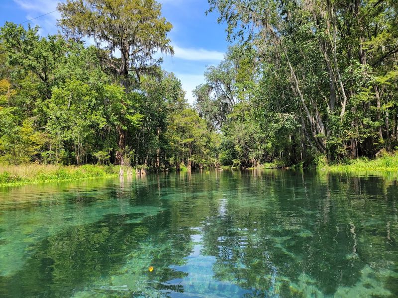 Ichetucknee Springs State Park - Fort White, Florida