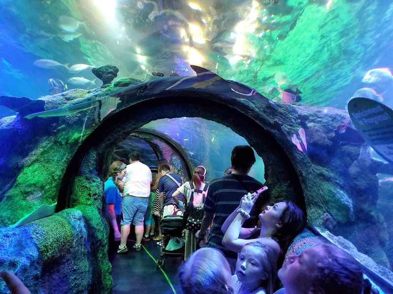 Enjoy a Family-Friendly Indoor Adventure