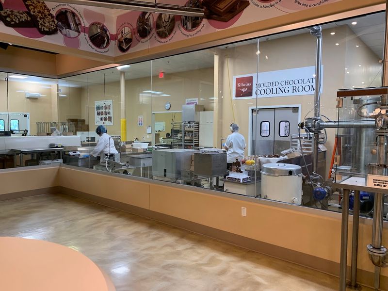 Watching Chocolates Being Made Right Before Your Eyes