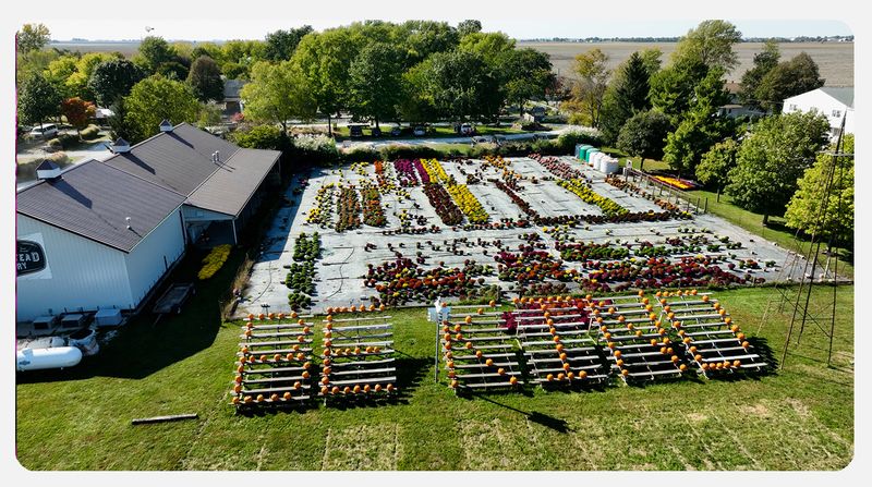 Picking Fresh Produce at Local Farm Stands
