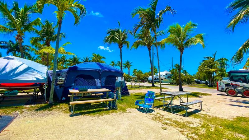 Pet-Friendly Environment That Welcomes Your Furry Companions