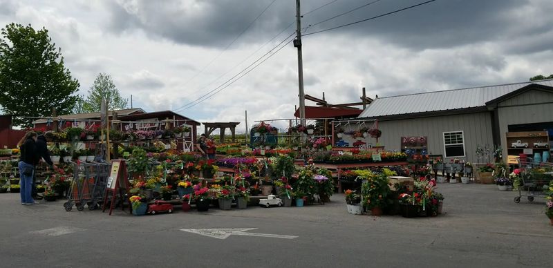 Weavers Orchard Farm Market - Morgantown, Pennsylvania