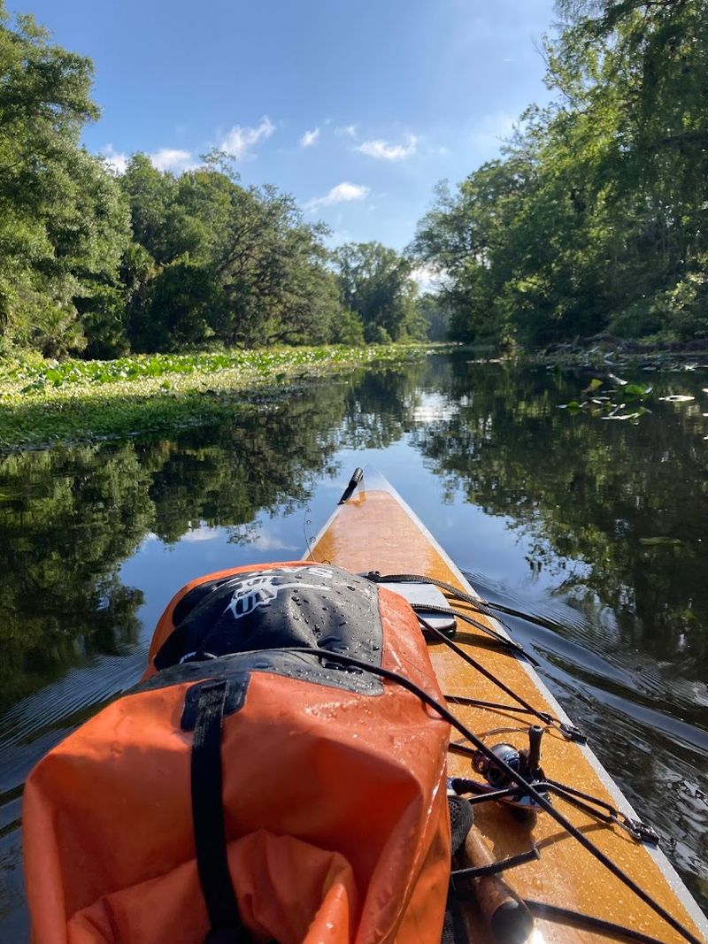 Going Early: The Secret Every Regular Visitor Knows