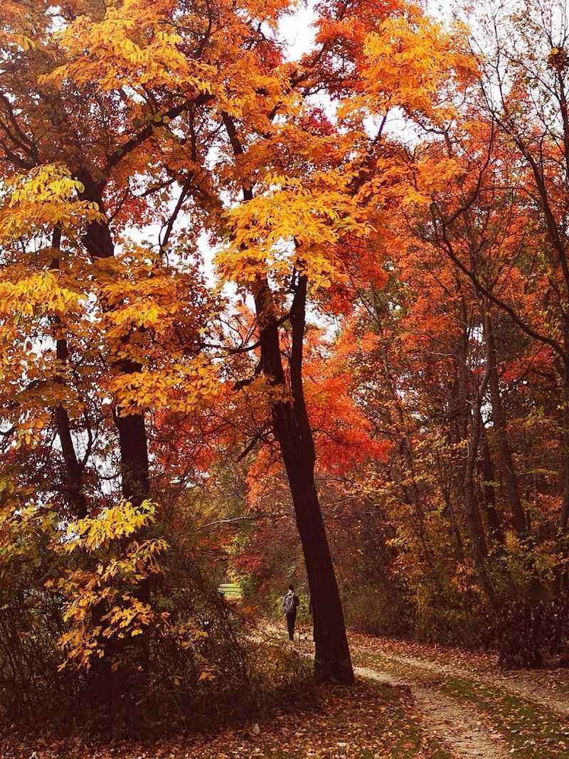 The Scenic Drive to the Trailhead