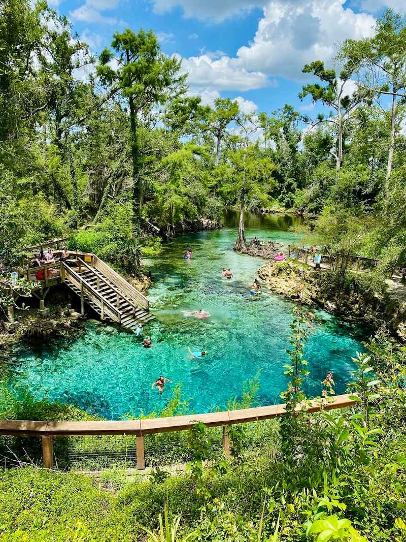 Florida’s Clearest Springs That Feel Quietly Unreal in Person 15 Madison Blue Spring State Park - Lee, Florida