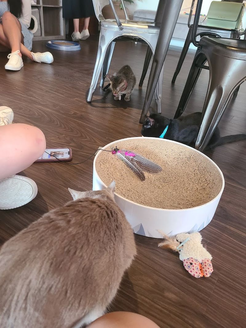 The Heartfelt Mission Behind the Cafe