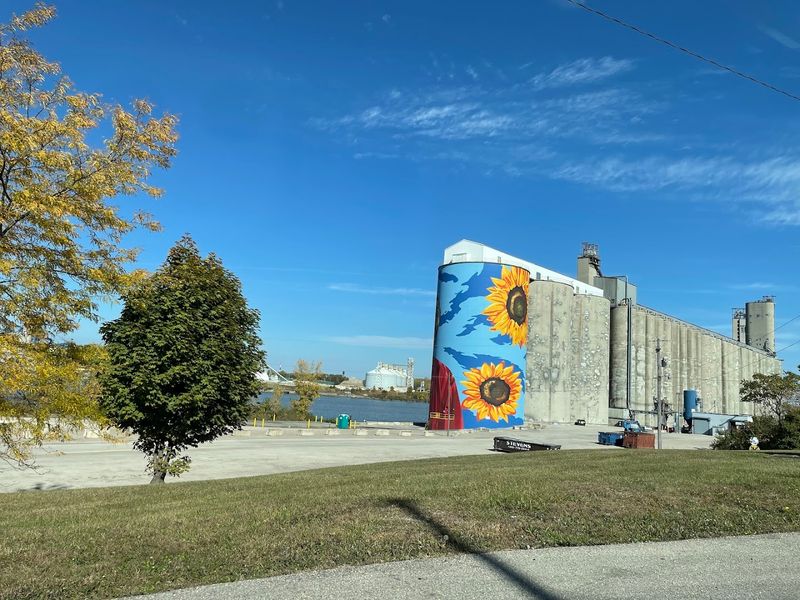 When and How the Project Got Started