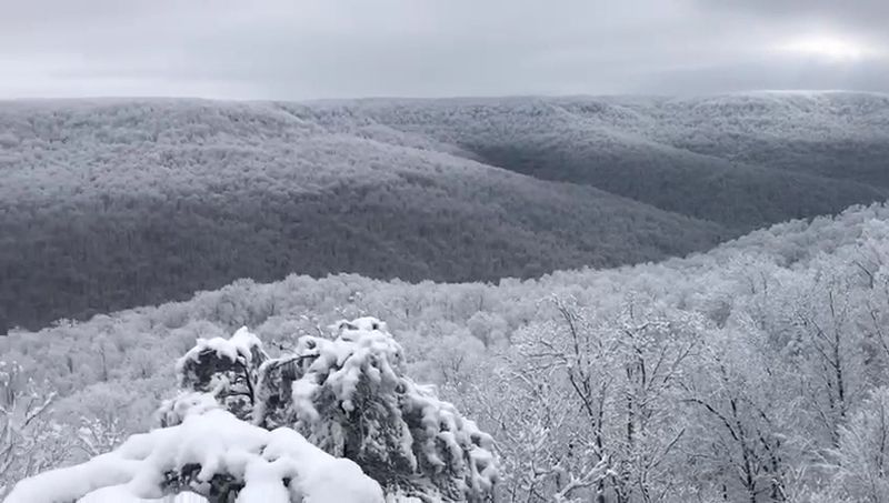What the View Looks Like in Winter