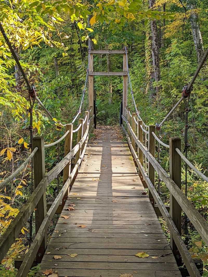 Dog-Friendly Trails: Bring Your Four-Legged Hiking Buddy