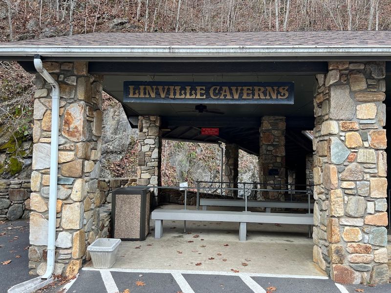 Tours Leave Frequently So There Is Barely Any Wait