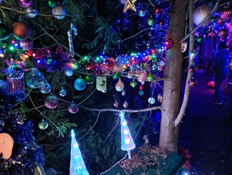 Magical After Dark — The Nighttime Experience