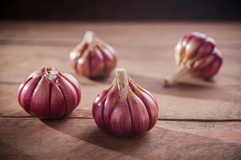Garlic