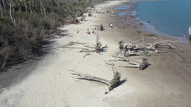 Tips for First-Time Visitors to Boneyard Beach