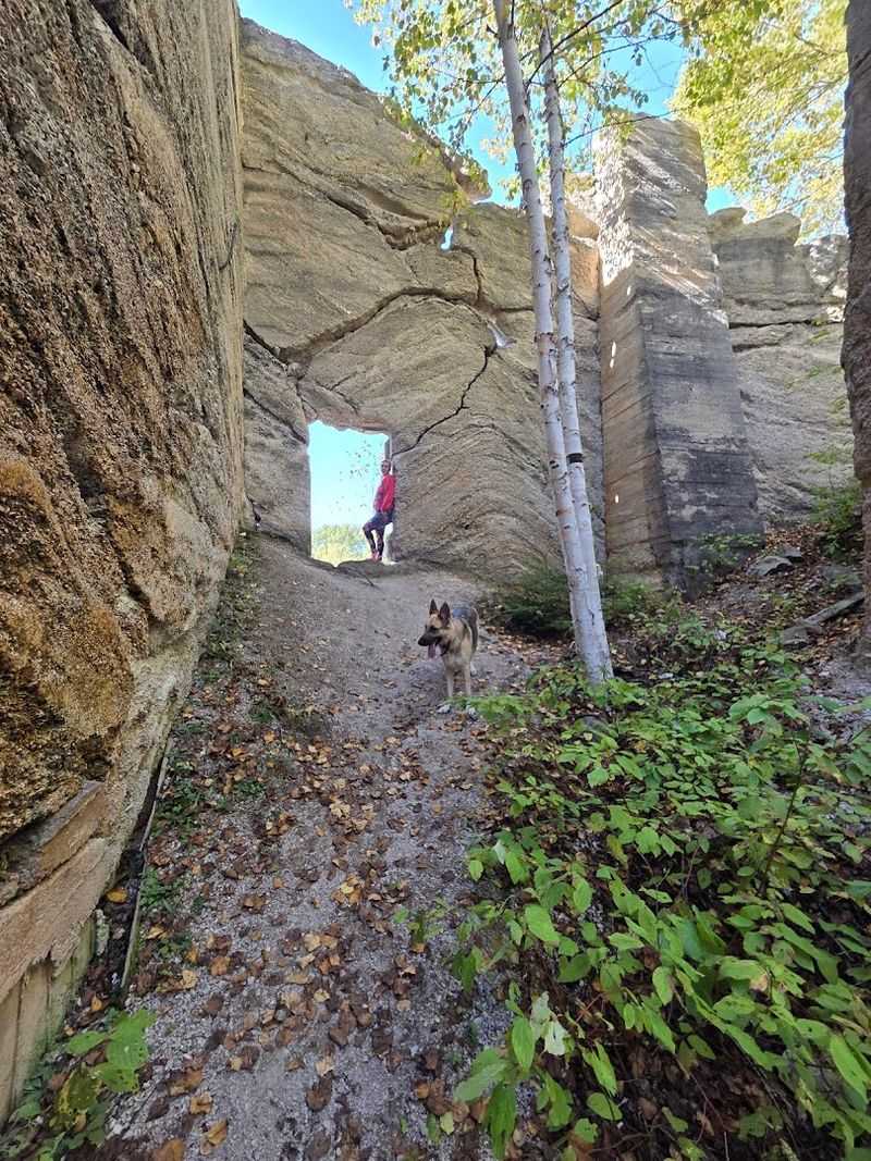 Why Fiborn Deserves a Spot on Your Michigan Bucket List