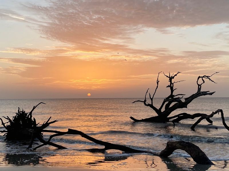 Jekyll Island: The Bigger Picture Worth Knowing