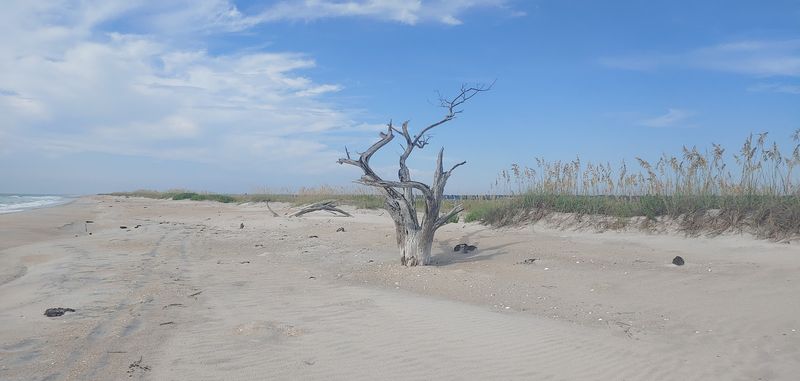 Why Locals Are Still Discovering It