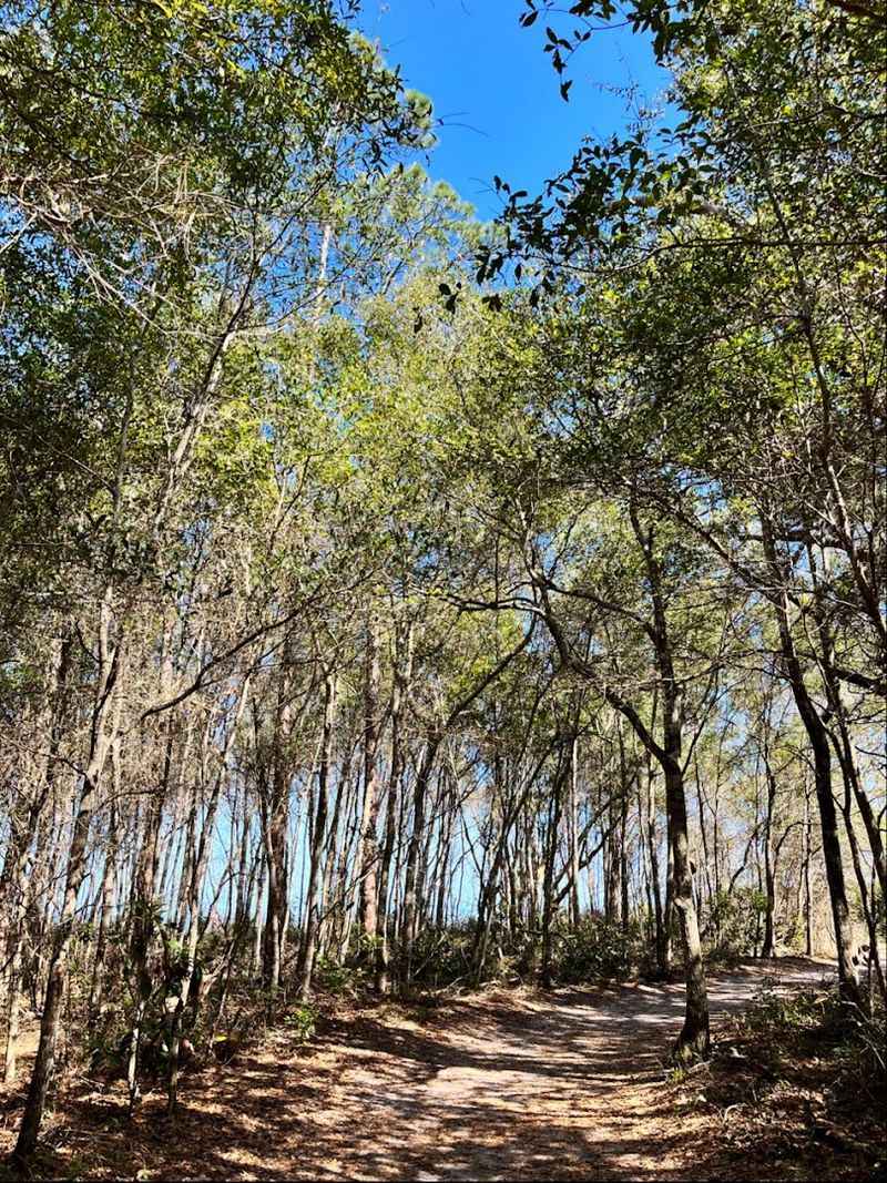 Bug Spray Is Not Optional — Here Is Why