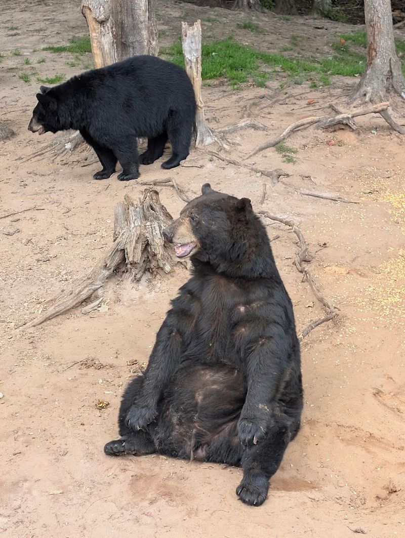 Tips to Make the Most of Your Visit