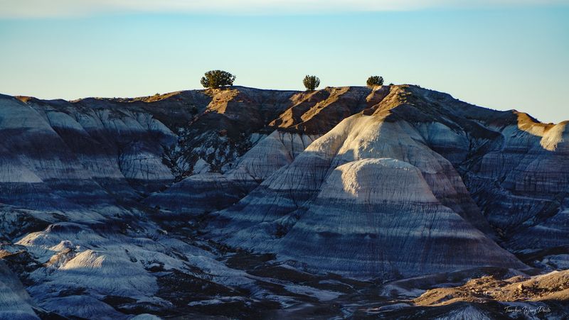 Visiting Blue Mesa in Different Seasons
