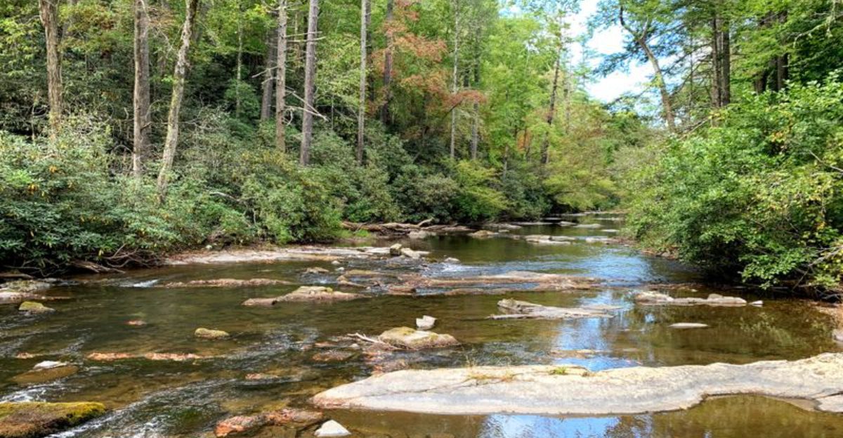 Why this Tennessee mountain town is becoming a favorite for its fresh air and peaceful lifestyle