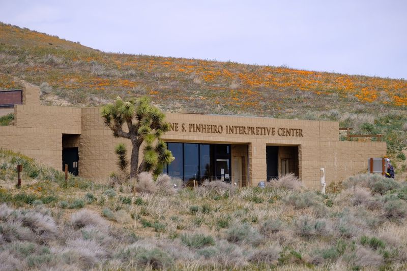 The Jane Pinheiro Interpretive Center Is Worth Your Time