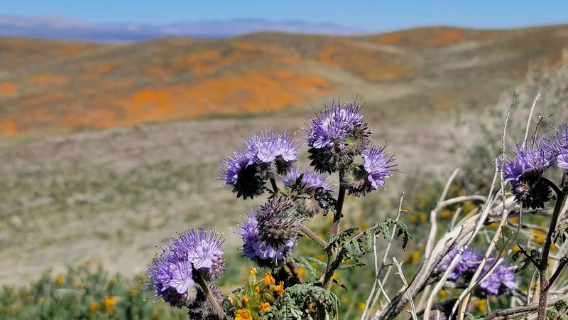 Visiting at Sunrise or Sunset Changes Everything