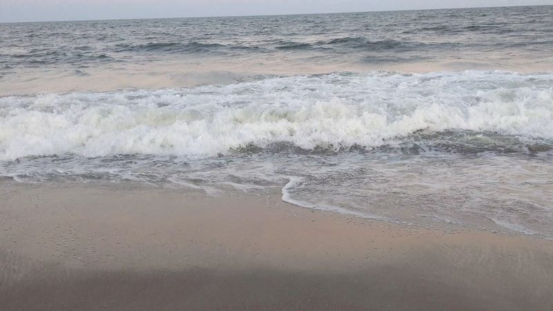 The Waves and Water Conditions to Know Before You Go