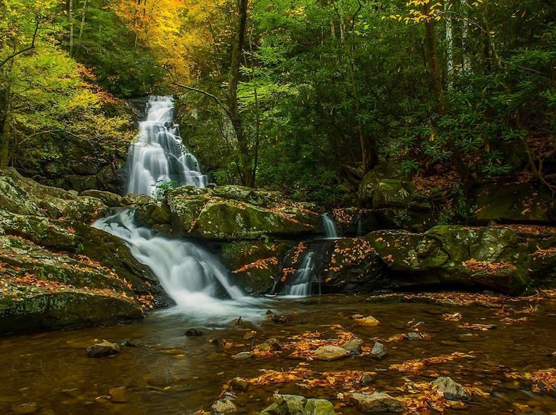 Waterfall Wonders Hidden Throughout the Forest
