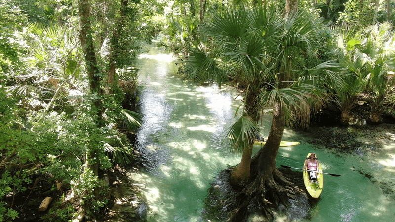 Kings Landing: The Perfect Starting Point