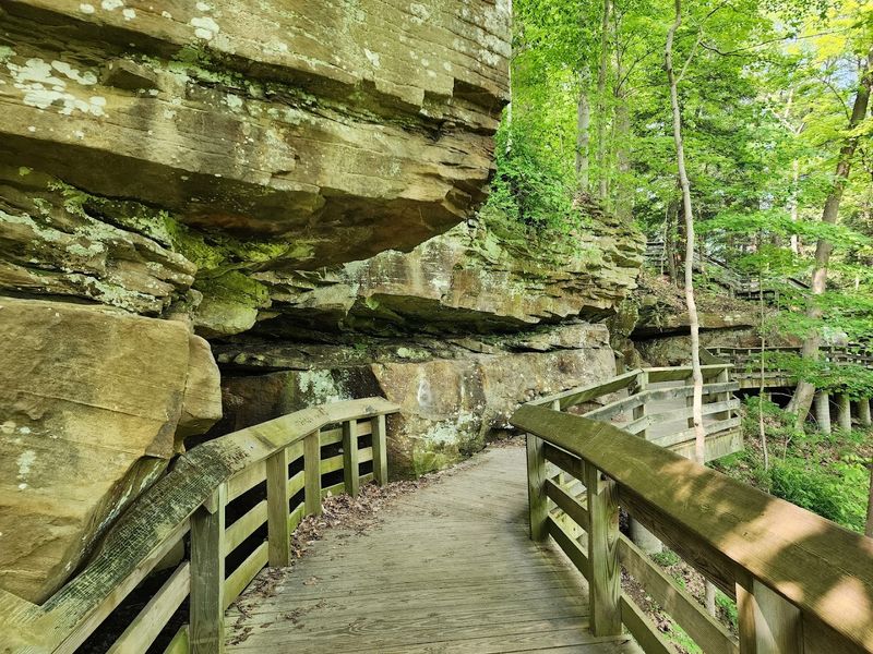 Trail Terrain: What to Expect Underfoot