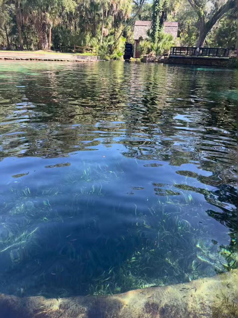 Getting There from Juniper Springs