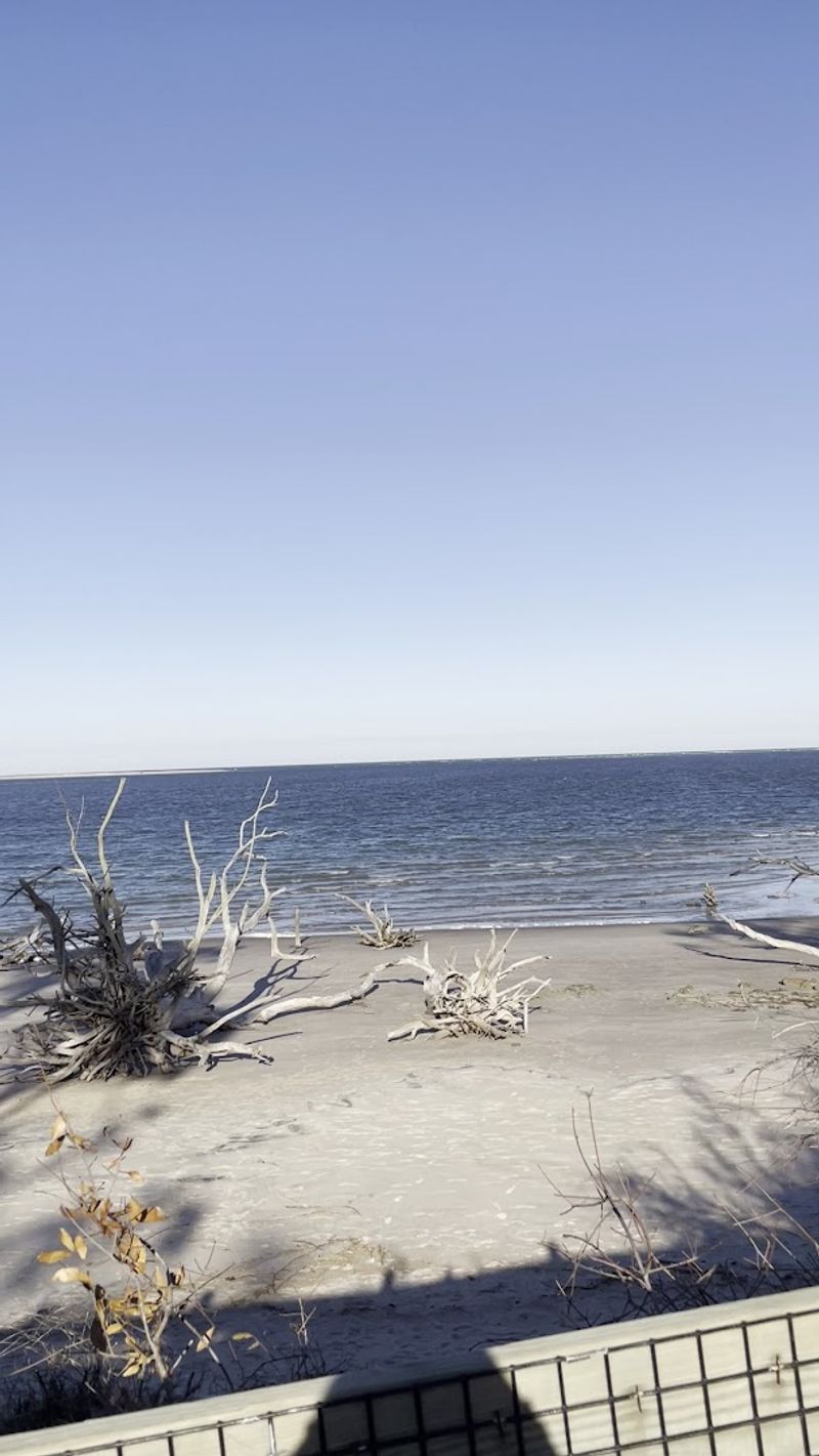 Parking, Fees, and Practical Things to Know