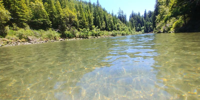 Swimming and Playing in the Eel River