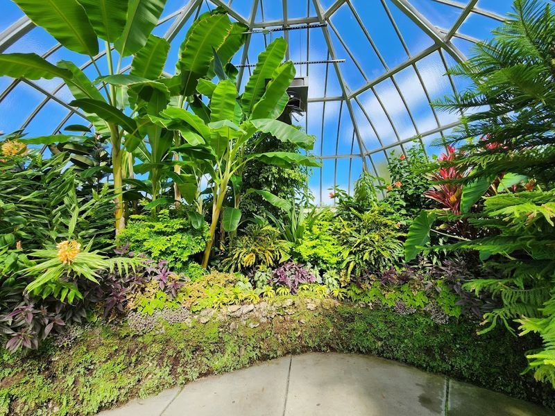 The Belle Isle Nature Center: Learning Meets the Outdoors