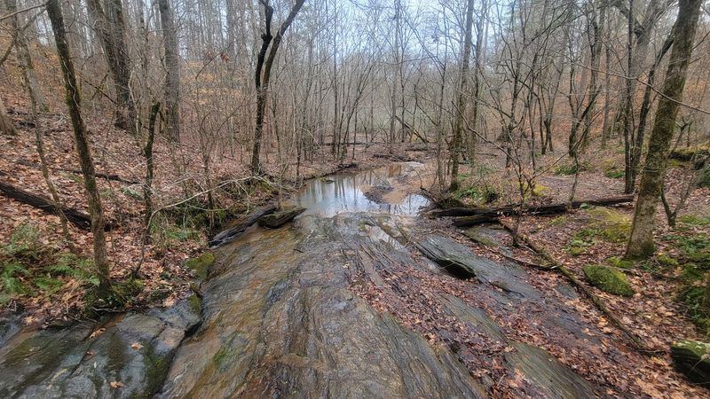 Ranger-Led Programs That Bring the Park to Life