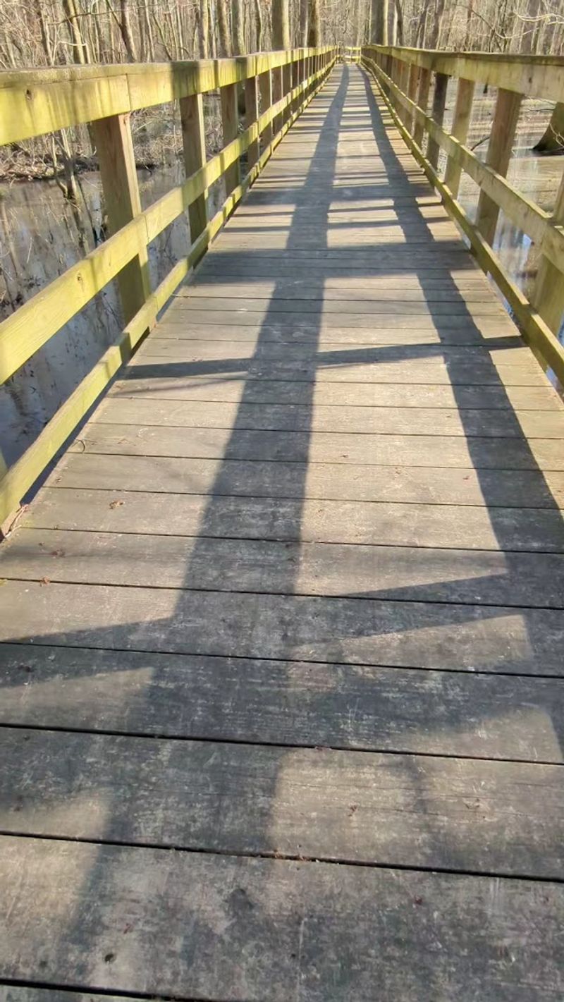 Trails That Are Short But Surprisingly Memorable