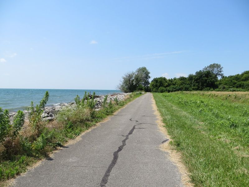 Wildlife Watching on a Nearly Deserted Island