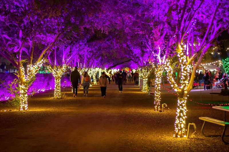 Christmas at Schnepf Farms - Queen Creek, Arizona